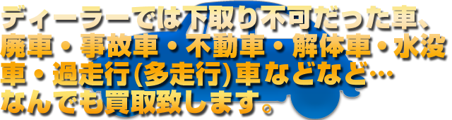 �f�B�[���[�ł͉����s�������ԁA�p�ԁE���̎ԁE�s���ԁE��̎ԁE���v�ԁE�ߑ��s(�����s)�ԂȂǂȂǁc�Ȃ�ł�����v���܂��B