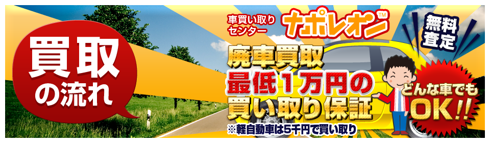 ����̗���